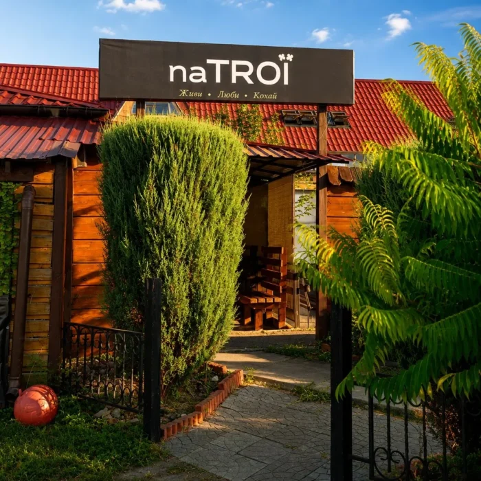 ресторан кафе natroi